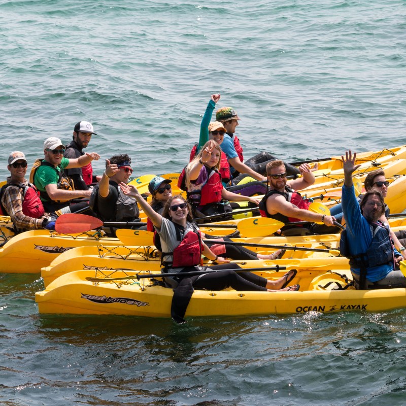 Group of kayakers on a kayak tour