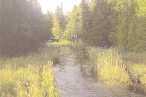 fall foliage tour picture