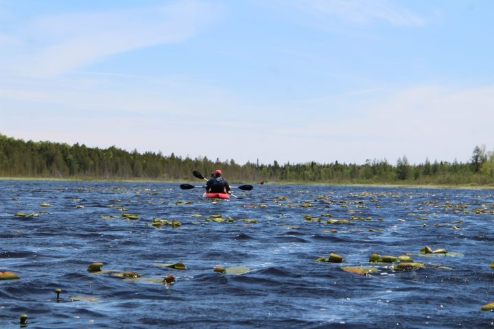 two guests paddle a tandem kayak
