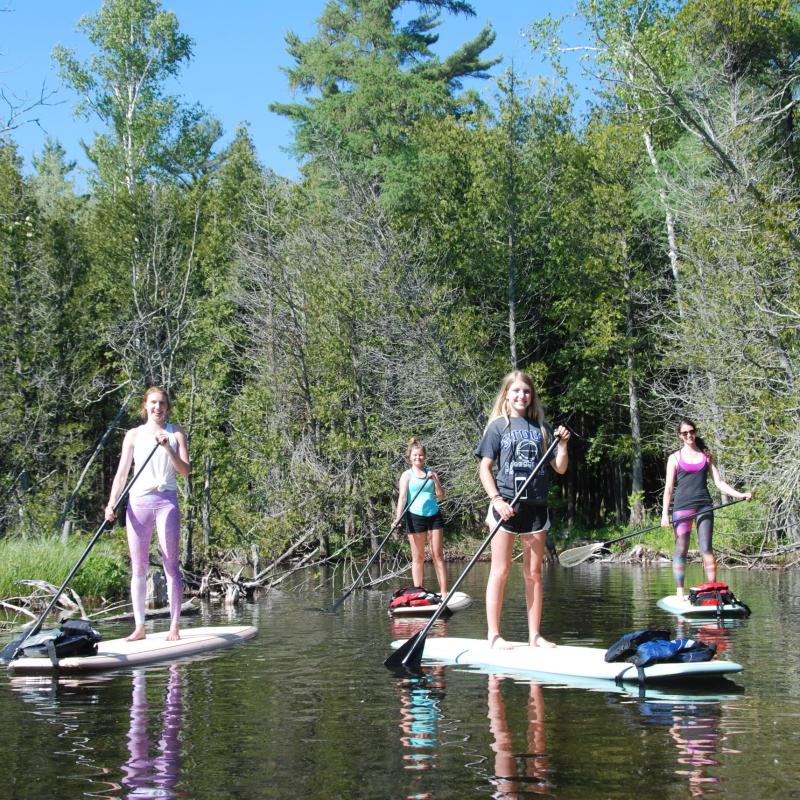 A group of stand-up paddle boarders