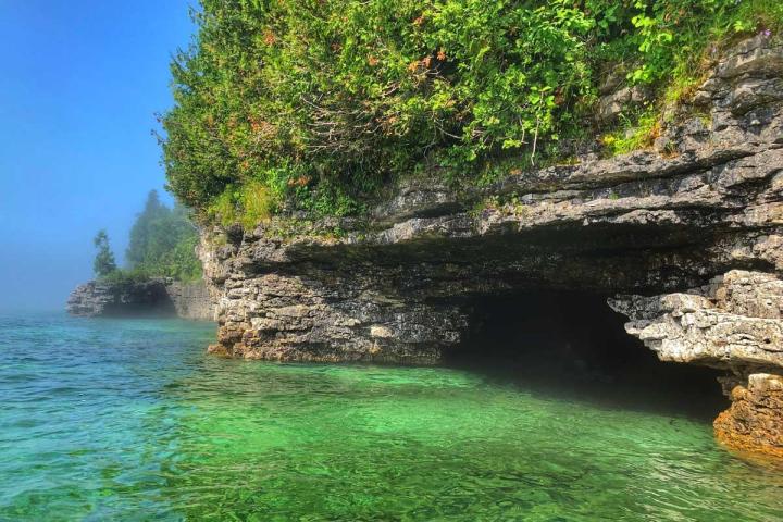 a body of water surrounded by trees