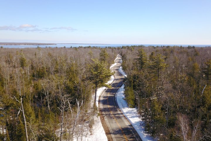 a road winds through forest